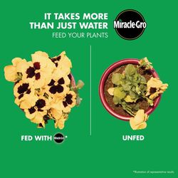 Miracle-Gro LiquaFeed Liquid Plant Food 2-16 oz