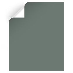 Magnolia Home by Joanna Gaines Luxe Peel & Stick Color Sample MAG018