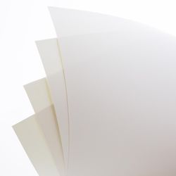 Bazic Products 14 in. W X 11 in. L White Poster Board