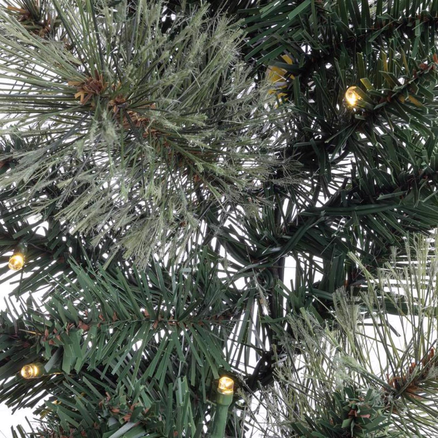image-5