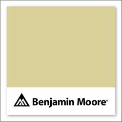 Benjamin Moore Morning Walk CSP-880
