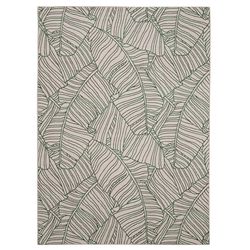 Linon Home Decor 7 ft. W X 9 ft. L Green/Ivory Chanda Polyester Accent Rug