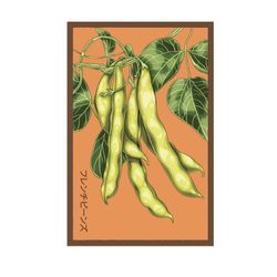 Chive Shido Seeds Green Beans Seeds