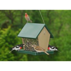 Songbird Essentials Songbird 2.5 qt Plastic Hopper Feeder Bird Feeder