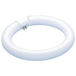 Westinghouse 32 W T9 12 in. L Fluorescent Bulb Warm White Tubular 3000 K 1 pk