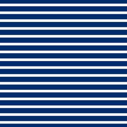 Blue/White