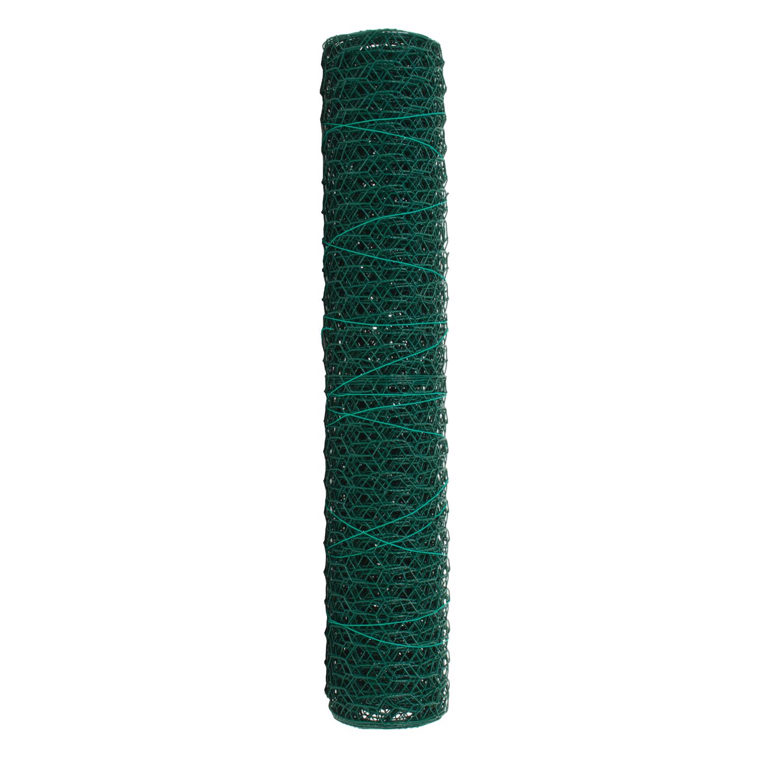 image-2
