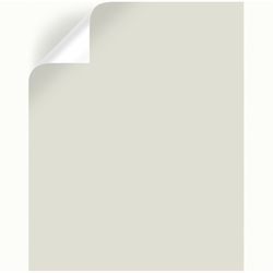Magnolia Home by Joanna Gaines One Horn White Peel & Stick Color Sample