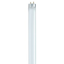 Satco 32 W T8 1 in. D X 47.78 in. L Fluorescent Bulb Warm White Linear 3000 K 1 pk