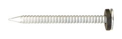 Ace 1-3/4 in. Roofing Galvanized Steel Nail Round Head 1 lb