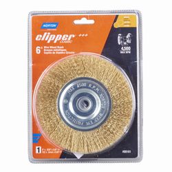 Norton Clipper 6 in. Coarse Crimped Wire Wheel Brush Brass 4500 rpm 1 pc