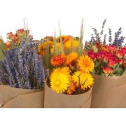 Dutch Flower House Market Single Orange Mix Bouquet Dried Flowers