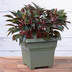 Novelty 15.75 in. H X 18 in. W X 18 in. D Plastic Countryside Tub Patio Planter Sage