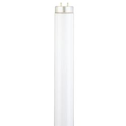 Westinghouse 30 W T12 36 in. L Fluorescent Bulb Cool White Linear 4100 K 1 pk