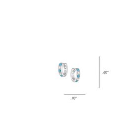 Montana Silversmiths Women's Circle of the West TQ Earrings