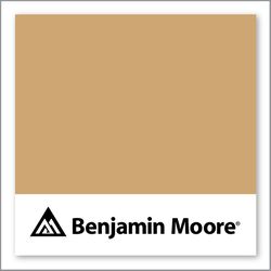 Benjamin Moore Camel Back 1103