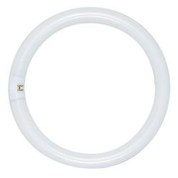 Satco 22 W T9 1.13 in. D X 8 in. L Circline Fluorescent Bulb Daylight Tubular 6500 K 1 pk