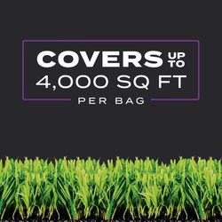 Scotts Turf Builder Southern Weed & Feed Lawn Fertilizer For Multiple Grass Types 4000 sq ft