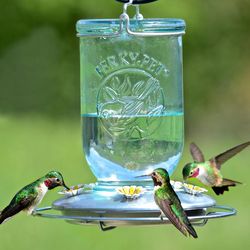 Perky-Pet Hummingbird 32 oz Glass/Metal Mason Jar Nectar Bird Feeder 5 ports