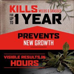 Ortho GroundClear Vegetation Killer Concentrate 1 gal