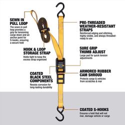 DeWalt 1.0 in. W X 12 ft. L Cam Buckle 500 lb 2 pk