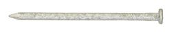 Ace 20D 4 in. Common Hot-Dipped Galvanized Steel Nail Flat Head 1 lb