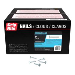 Grip-Rite 1 in. Roofing Electro-Galvanized Steel Nail Flat Head 50 lb