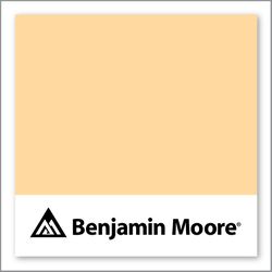 Benjamin Moore Orange Froth 151