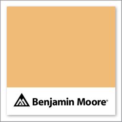 Benjamin Moore Soft Marigold 160