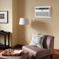 Frigidaire 10000 BTU 230 V Through-the-Wall Air Conditioner w/Remote 450 sq ft