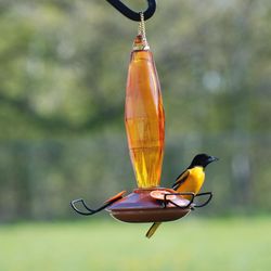 Audubon Oriole 10 oz Glass/Metal Bottle Nectar Bird Feeder 3 ports