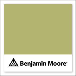 Benjamin Moore Parrot Green CW-465