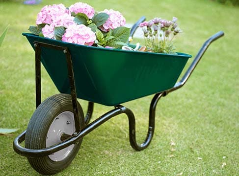 Enduring Charm & Coverage