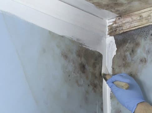 Easy Brush Application