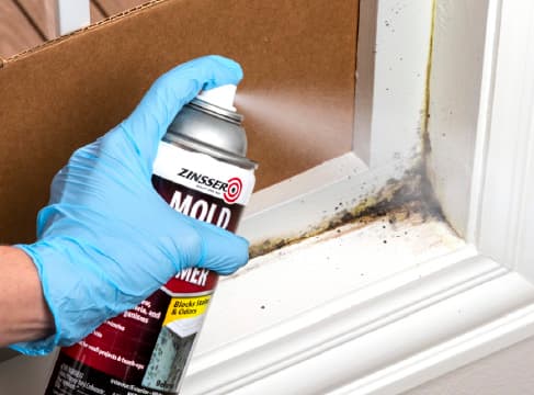 Quick Spray Application