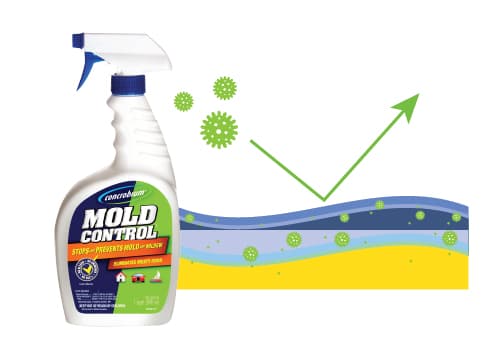 Encapsulates All Mold
